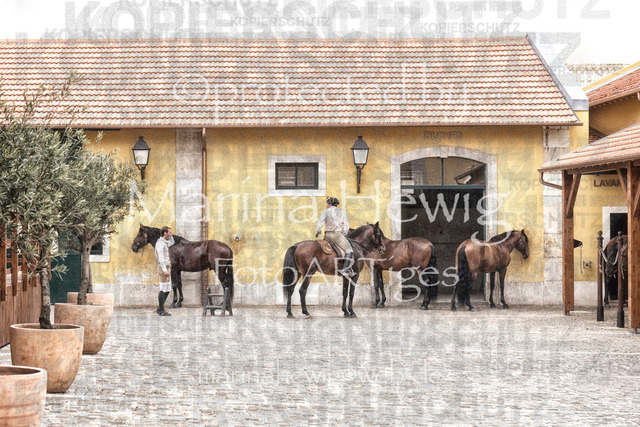 Belem-2_MarinaHewig | OLYMPUS DIGITAL CAMERA - Realisiert mit Pictrs.com