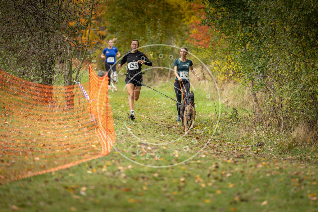Pfotenfotografie_DV3A4697 | Hundefotografie, Tierfotograf, Pfotenfotografie, Fotoshooting Hund, Hunde Portrait, Hundesport, Hundeportraits, Heideshooting, Hunde, Sportfotograf, Hundefotograf, Turnierhundsport, THS,  - Realisiert mit Pictrs.com