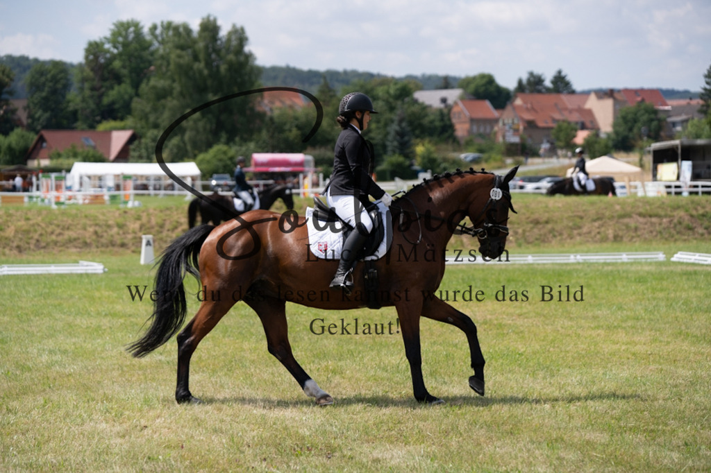 A7V09930 | Pferdefotograf