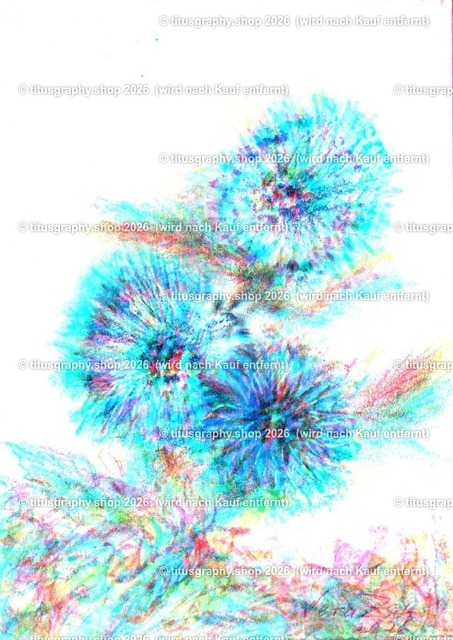 Asterngruß Variation 41 | Zeichnung von Vera Zschecked exclusiv auf titusgraphy.eu - Realisiert mit Pictrs.com