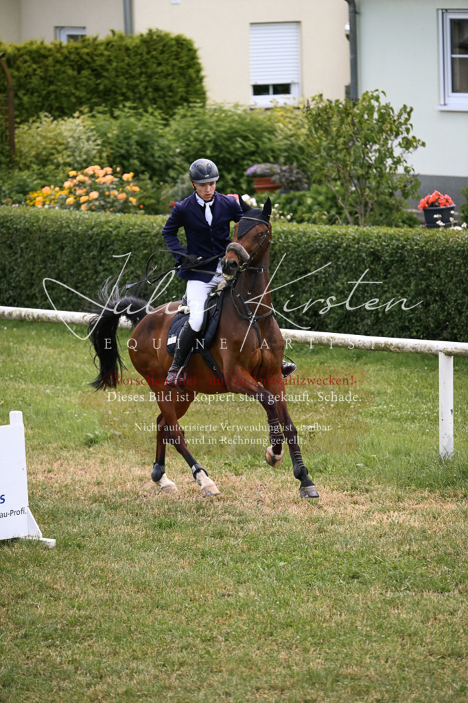 DSC_9544 | Pferde- und Turnierfotografie in Westsachsen. Pferdeportraits, Auftragszeichnungen und intuitive Kunst.