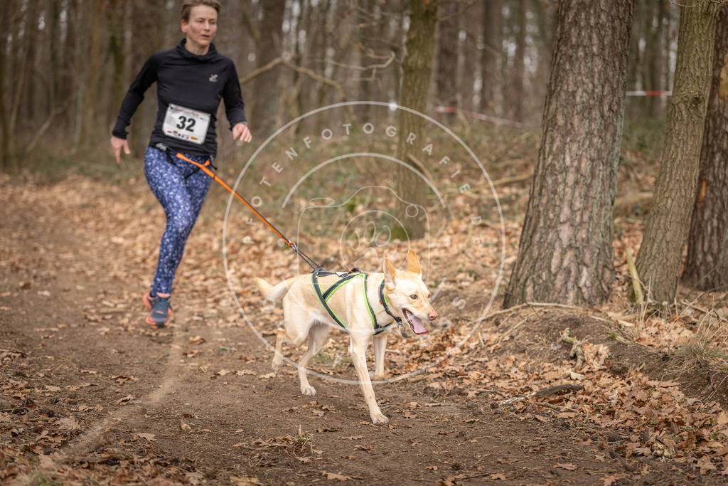 Pfotenfotografie_DV3A9489 | Hundefotografie, Tierfotograf, Pfotenfotografie, Fotoshooting Hund, Hunde Portrait, Hundesport, Hundeportraits, Heideshooting, Hunde, Sportfotograf, Hundefotograf, Turnierhundsport, THS,  - Realisiert mit Pictrs.com