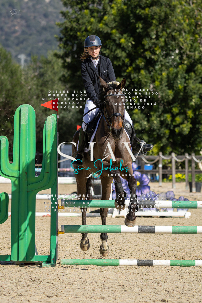 IMG_6281 | s-jay-photography - Realisiert mit Pictrs.com