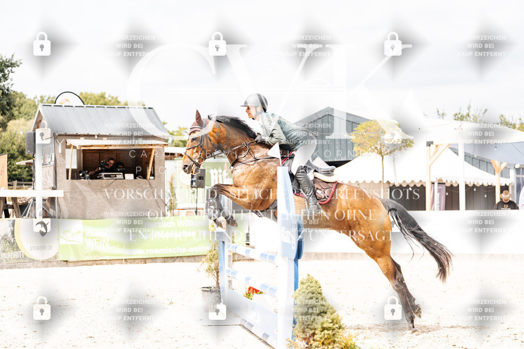 CK909596 | Turnierfotografie Pferdefotografie Trier Rheinland-Pfalz Pferdesport Reitsport Tierfotografie Sportfotografie Pferdevideo Pferdevideografie Equestrianvideography equestrianphotography  - Realisiert mit Pictrs.com