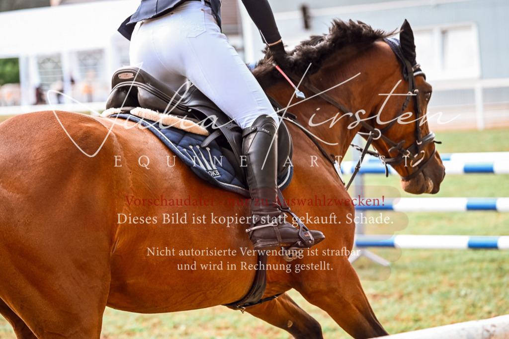 DSC_7701 | Pferde- und Turnierfotografie in Westsachsen. Pferdeportraits, Auftragszeichnungen und intuitive Kunst.