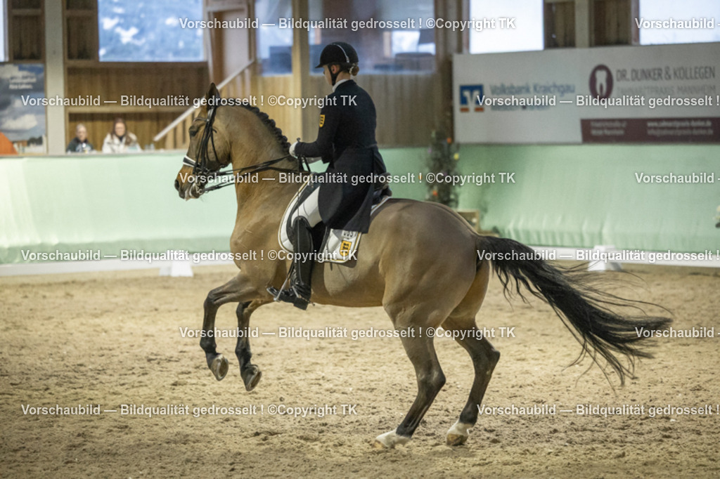 _D5A7194 | Emotionale Pferde- & People-Fotografie rund um Heidelberg, Leimen & Umgebung. Natürliche Fotos von Pferd, Mensch & Familie. Jetzt Termin sichern!