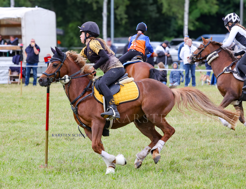 1B3A1007 | Reitsport Reiten
