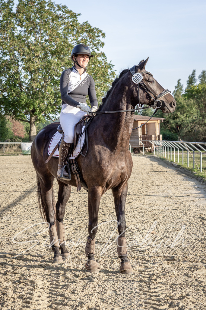 20250907-_3LI4943 | Tierfotografie Pferde, Hunde, Katzen, Haustiere.
Turnierfotografie Reitturniere, Reiten, Springreiten, Dressur in Hanau, dem Main-Kinzig-Kreis und dem Rhein-Main- Gebiet um Frankfurt