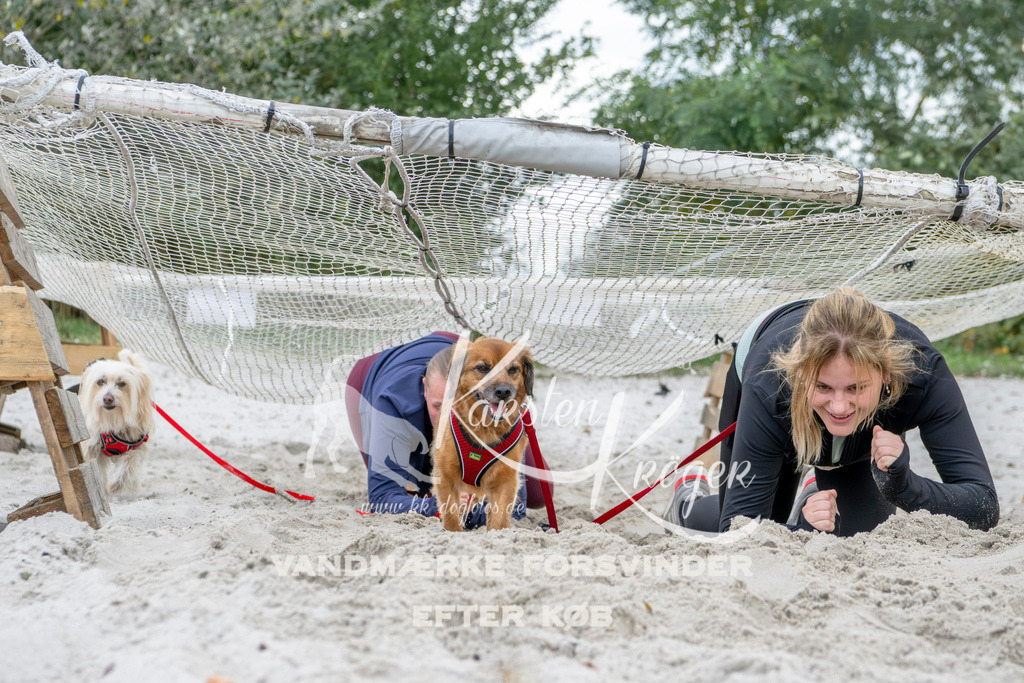 1540_ZZ96483 | kk-dogfotos