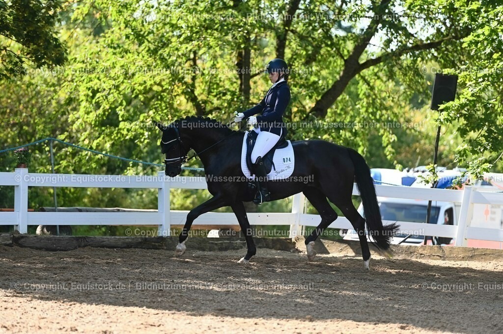 20230715_06_Dressurpferdeprfg. Kl.A_0254 | equistock