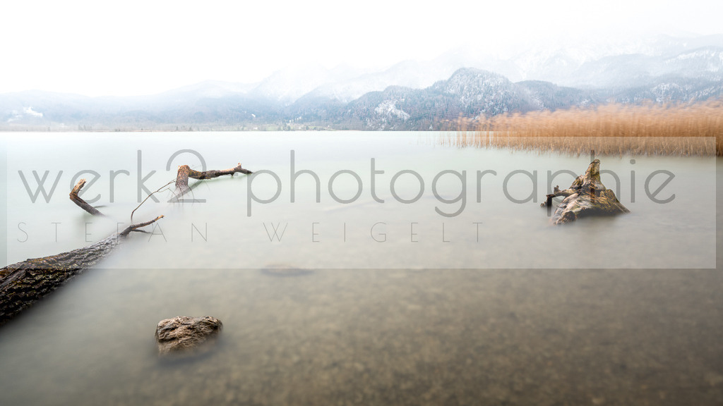 Kochelsee VI | Ein Hauch streift über das Schilf.