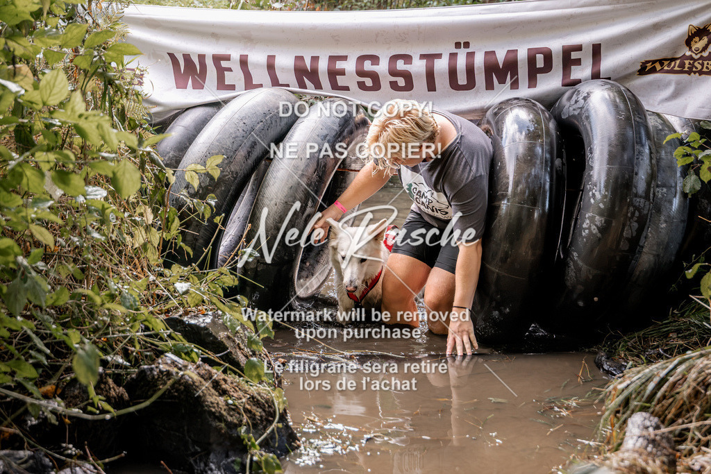 nelerasche_Hunsrück2026_Sa1400-1500_273 | nelerasche