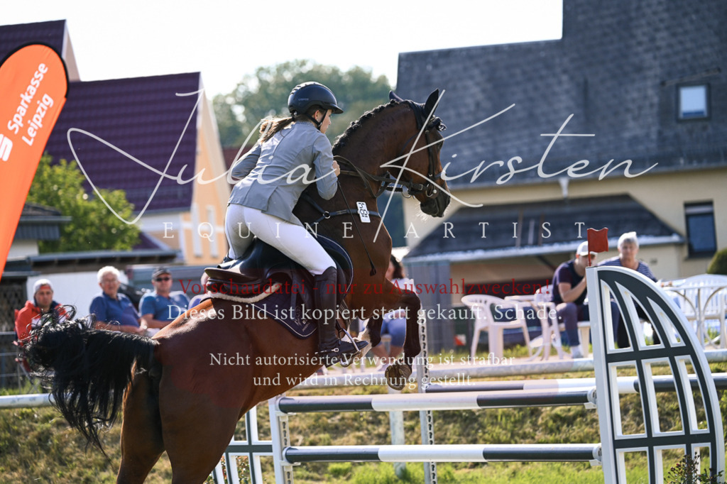 DSC_1360 | Pferde- und Turnierfotografie in Westsachsen. Pferdeportraits, Auftragszeichnungen und intuitive Kunst.