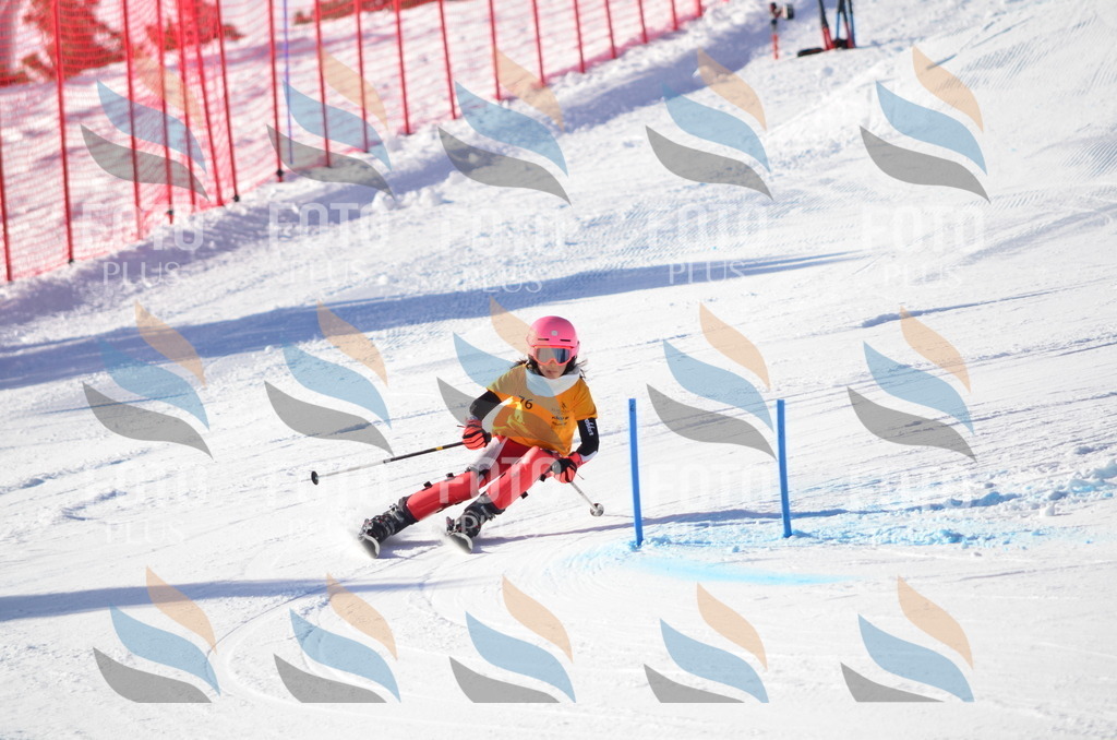 C5933 | holidayphoto