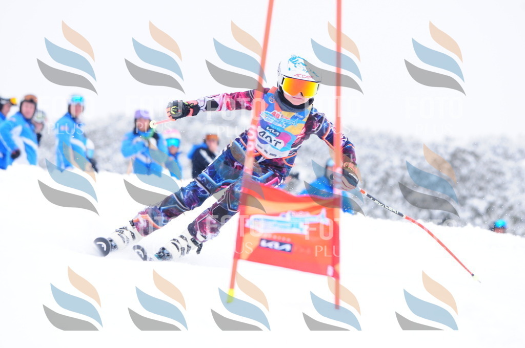 C4280 | holidayphoto