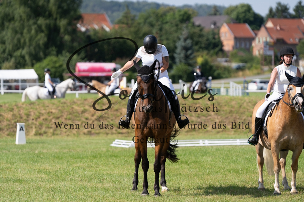 A7V09598 | Pferdefotograf