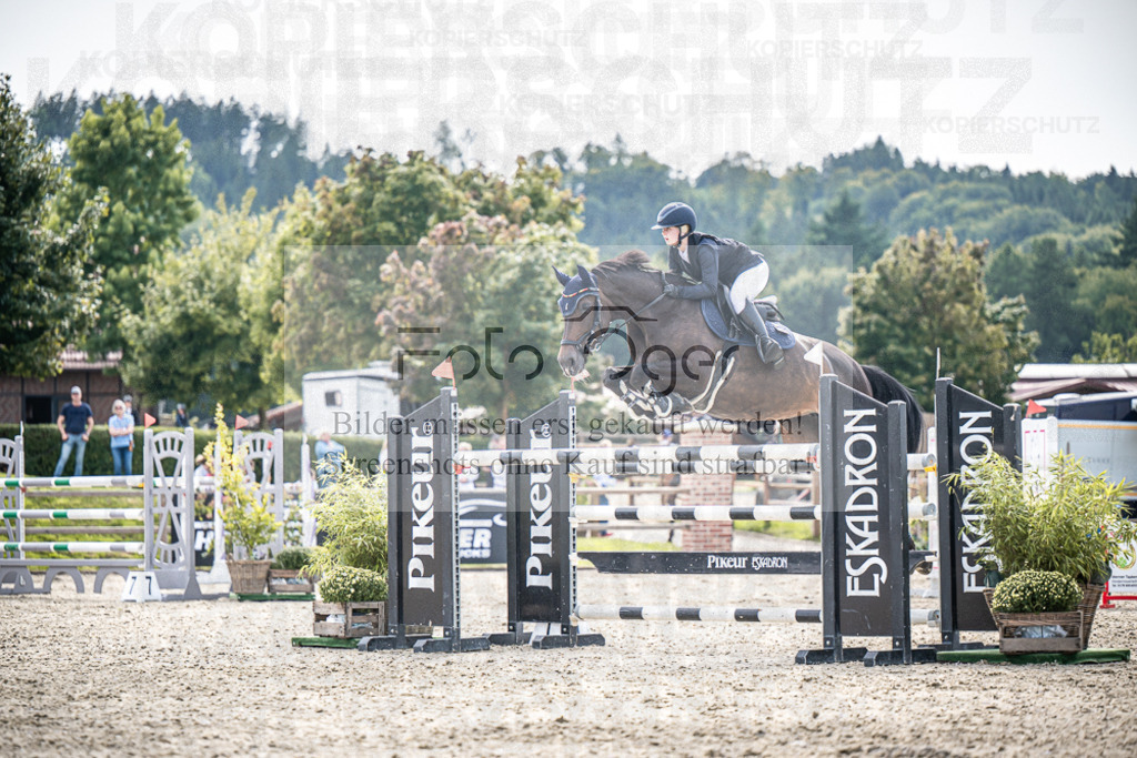 DOS_0333 | Entdecke hochwertige Reitturnierfotos von Foto Oger. Professionell, emotional und authentisch – jetzt Lieblingsmomente im Shop bestellen.Deutschlandweite Turnierfotografie. - Realisiert mit Pictrs.com