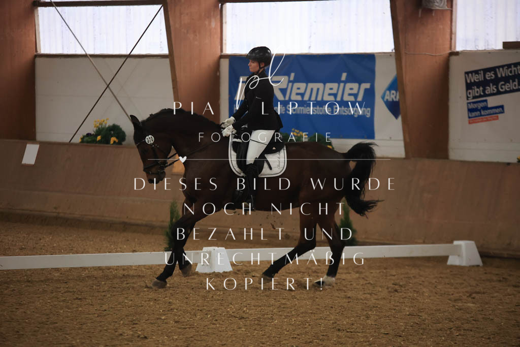 IMGT0969 | pl-fotografie