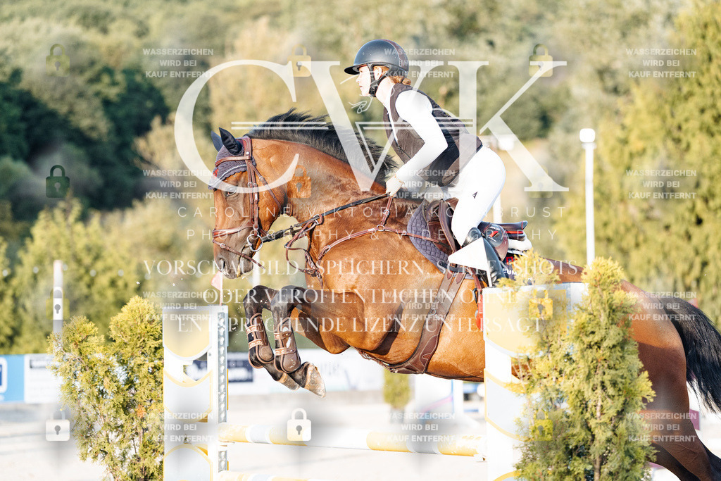 CK901025 | Turnierfotografie Pferdefotografie Trier Rheinland-Pfalz Pferdesport Reitsport Tierfotografie Sportfotografie Pferdevideo Pferdevideografie Equestrianvideography equestrianphotography  - Realisiert mit Pictrs.com