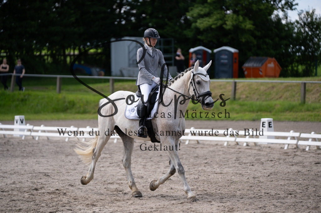 A7V02705 | Pferdefotograf