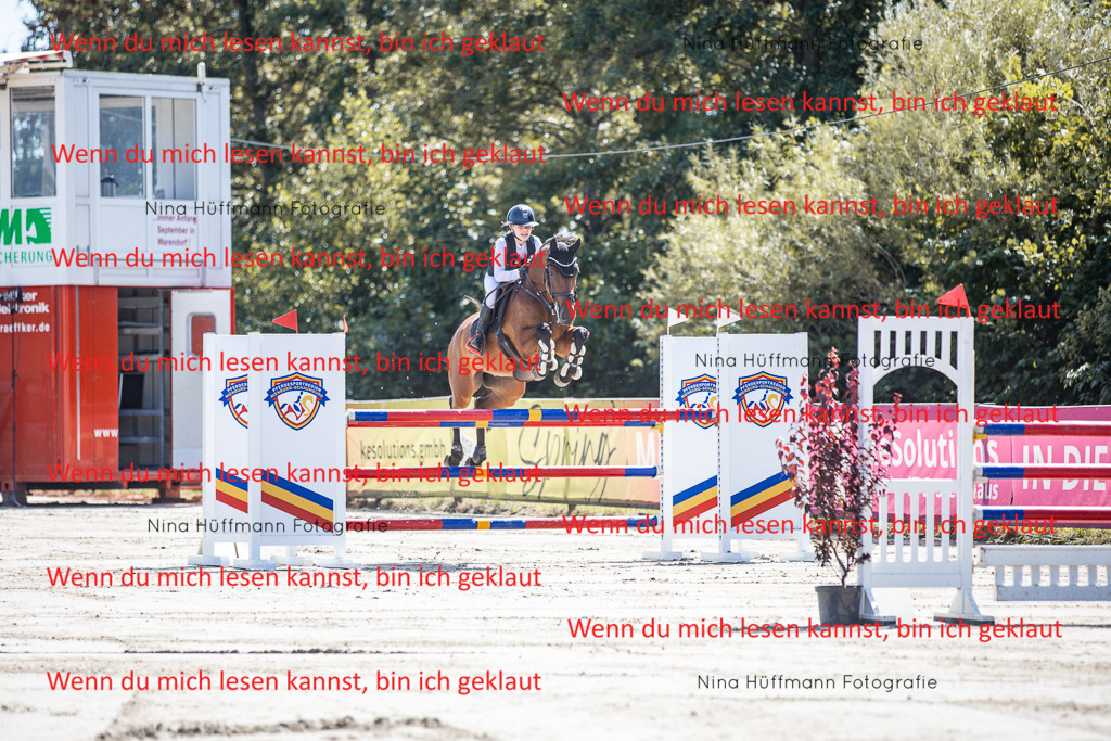 BK1A6542 | Turnierbilder Turnierfotos Nina Hüffmann Turnierfotografie Pferdefotografie Tierzeichnung Haustierzeichnung Pferdezeichnung Hundezeichnung Videograf  - Realisiert mit Pictrs.com