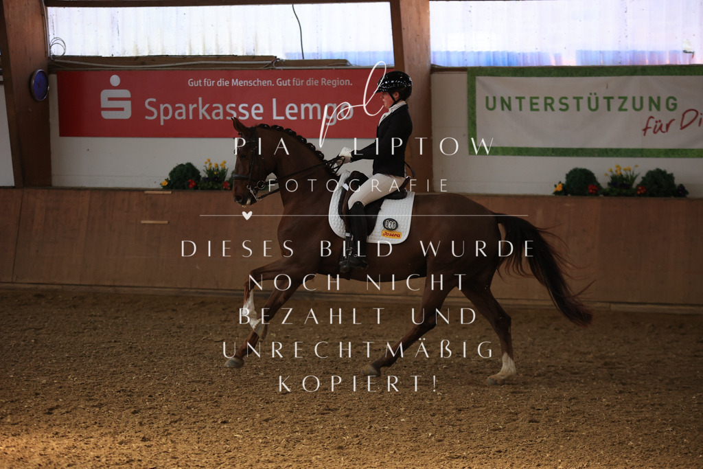 IMGT3065 | pl-fotografie