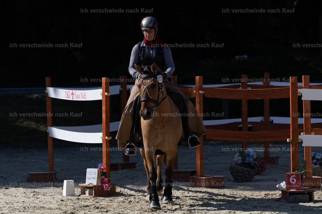 WA_Trail_125_KerstinBernhardt-11 | working equitationturnier fotograf videograf stoibphotography marixx film working equitation deutschland reitsport turnierfotografie eventfotografie equestrian events