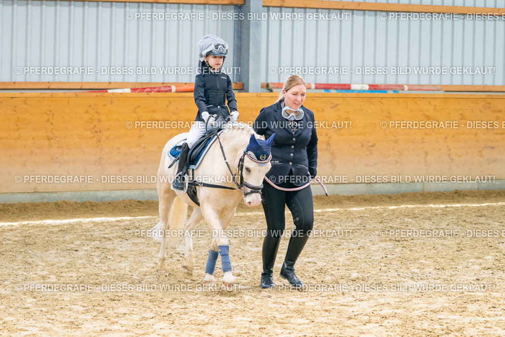 DSC00685 | Pferdegrafie