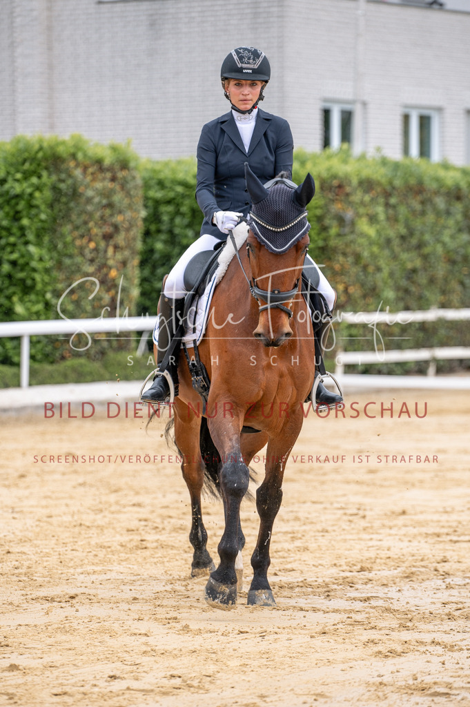 Schugtsche-Aluta25-41.Amat-Dressurprf.A_-76 | Schugtsche Fotografie - Realisiert mit Pictrs.com