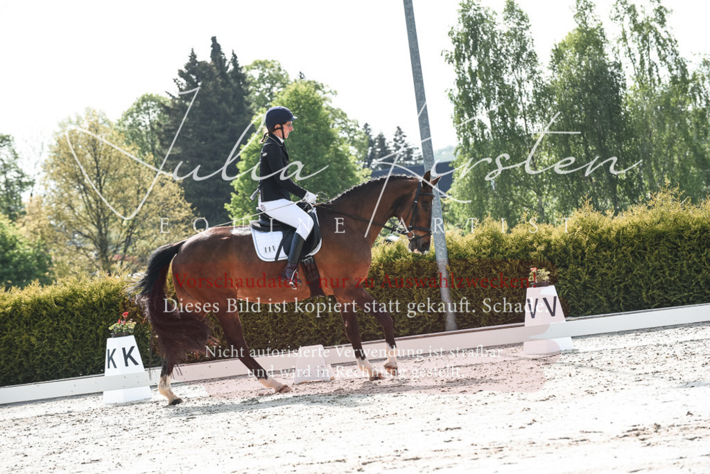 20230518_JK-Röhrsdorf-09-1269 | Pferde- und Turnierfotografie in Westsachsen. Pferdeportraits, Auftragszeichnungen und intuitive Kunst.