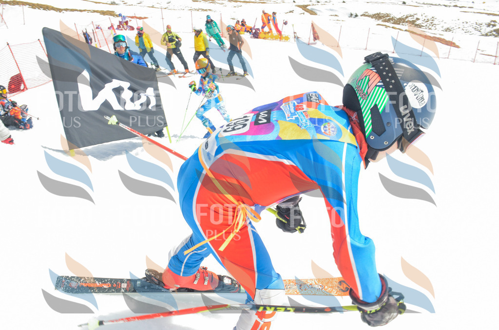 _ELE6896 | holidayphoto