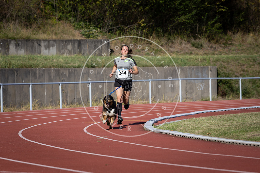 Pfotenfotografie_DV3A8526 | Hundefotografie, Tierfotograf, Pfotenfotografie, Fotoshooting Hund, Hunde Portrait, Hundesport, Hundeportraits, Heideshooting, Hunde, Sportfotograf, Hundefotograf, Turnierhundsport, THS,  - Realisiert mit Pictrs.com