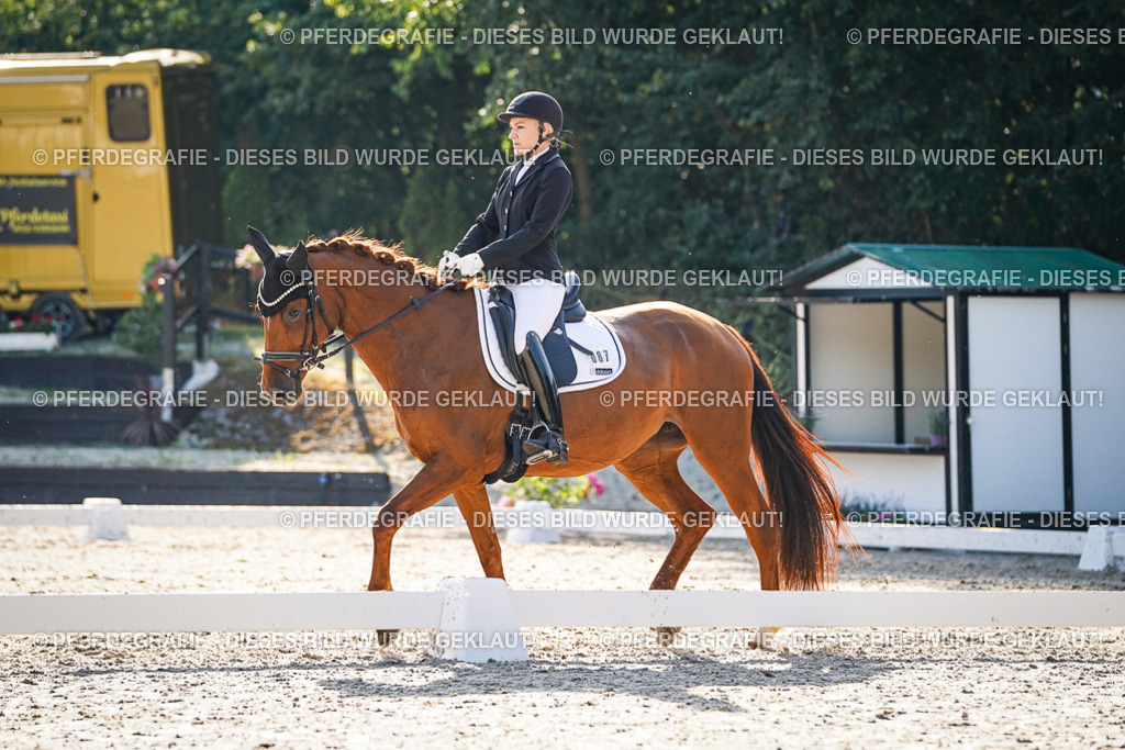 DSC09017 | Pferdegrafie