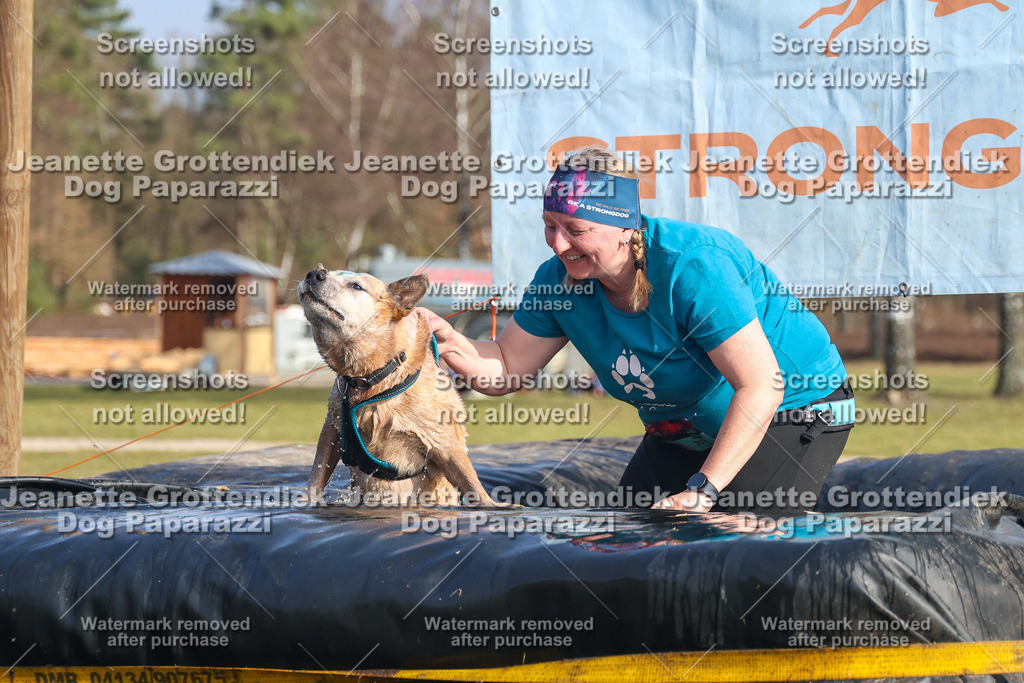 Dog Paparazzi - Strongdog North Mrz26-2842 | Dog Paparazzi Jeanette Grottendiek Fotografie & Videografie - Realisiert mit Pictrs.com