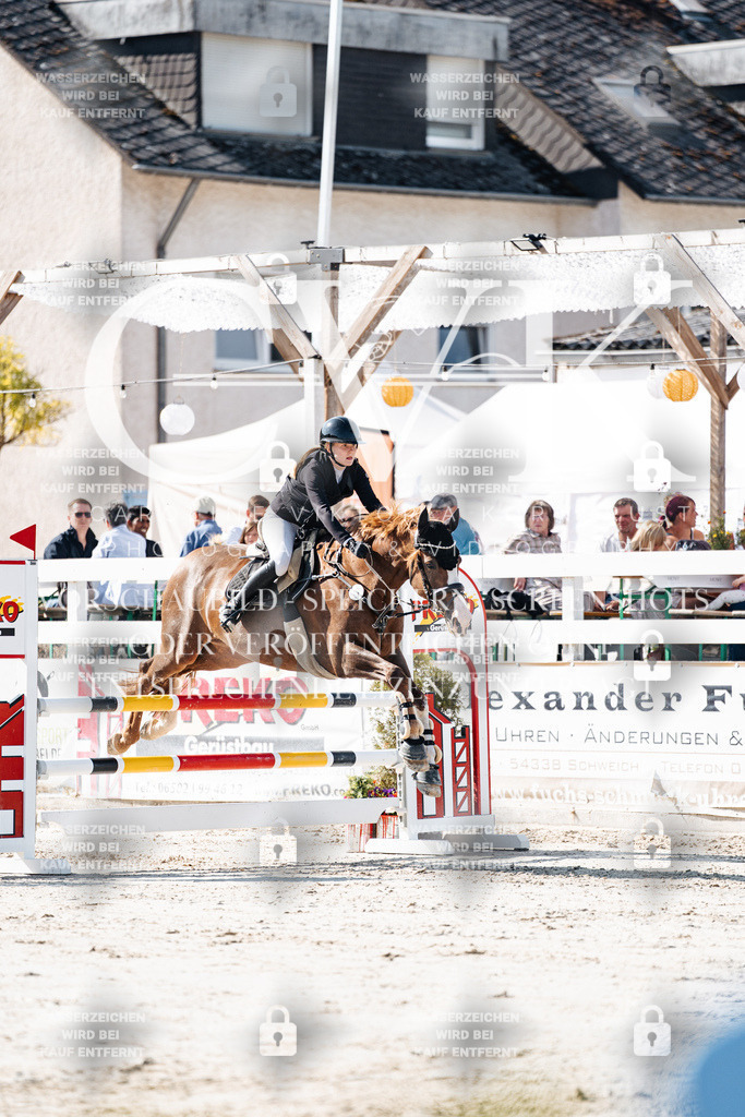 CK907778 | Turnierfotografie Pferdefotografie Trier Rheinland-Pfalz Pferdesport Reitsport Tierfotografie Sportfotografie Pferdevideo Pferdevideografie Equestrianvideography equestrianphotography  - Realisiert mit Pictrs.com