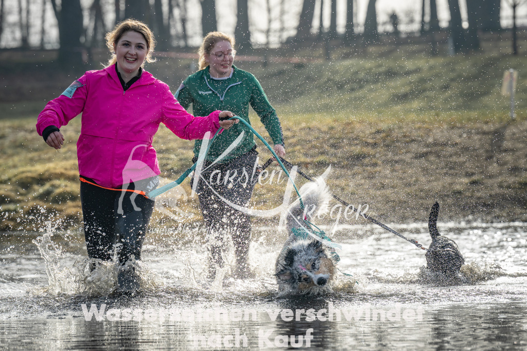 0934_ZZ92395 | kk-dogfotos