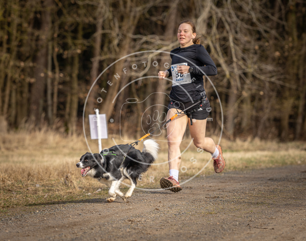 DV3A3891 | Hundefotografie, Tierfotograf, Pfotenfotografie, Fotoshooting Hund, Hunde Portrait, Hundesport, Hundeportraits, Heideshooting, Hunde, Sportfotograf, Hundefotograf, Turnierhundsport, THS,  - Realisiert mit Pictrs.com