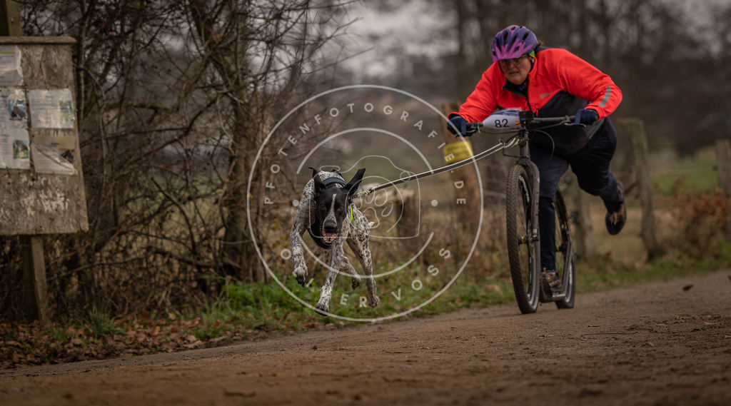 Pfotenfotografie_DV3A3982 | Hundefotografie, Tierfotograf, Pfotenfotografie, Fotoshooting Hund, Hunde Portrait, Hundesport, Hundeportraits, Heideshooting, Hunde, Sportfotograf, Hundefotograf, Turnierhundsport, THS,  - Realisiert mit Pictrs.com
