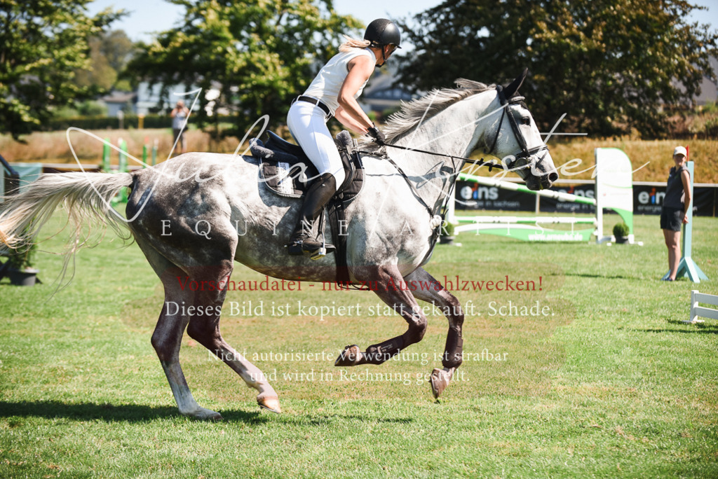 DSC_2740 | Pferde- und Turnierfotografie in Westsachsen. Pferdeportraits, Auftragszeichnungen und intuitive Kunst.