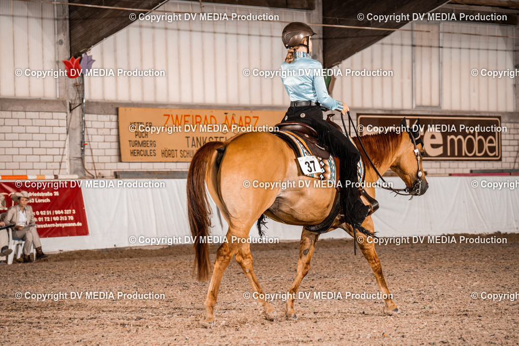 ZH300027 | dv-media-shop - Realisiert mit Pictrs.com