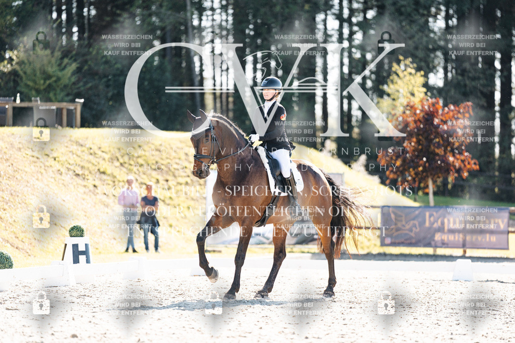 CK905745 | Turnierfotografie Pferdefotografie Trier Rheinland-Pfalz Pferdesport Reitsport Tierfotografie Sportfotografie Pferdevideo Pferdevideografie Equestrianvideography equestrianphotography  - Realisiert mit Pictrs.com