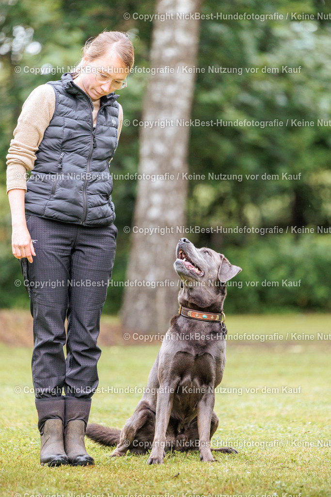 RO-Blumenthal-2026-Nickbest-Hundefotografie-1018 | Dein Hund! Dein Moment! Deine Erinnerungen! Hundefotografie in Bremen Blumenthal. Ich fange die besonderen Momente deines Vierbeiners ein – ob Indoor mit Blitzanlage oder in der freien Natur. Sicher dir dein Moment und dein Termin für eure Erinnerungen.