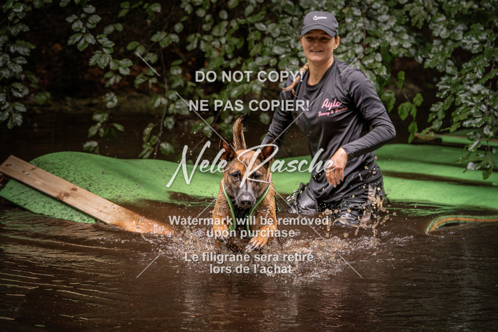 nelerasche_Wingst_Sa1330-1400_88 | nelerasche