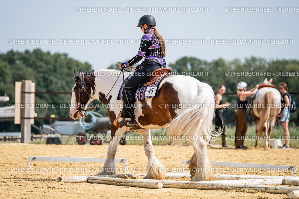 DSC00050 | Pferdegrafie