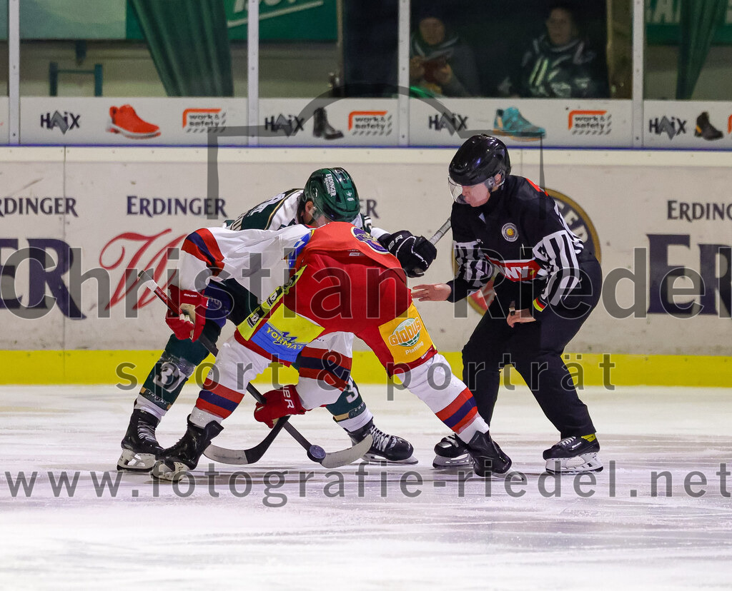 2026-02-20_123_TSV_Erding_gegen_Deggendorfer_SC | Erding, Deutschland, 20.02.2026:Eishockey, Oberliga Süd 2025 / 2026, 49. Spieltag, TSV Erding gegen Deggendorfer SC, Endergebnis: 4:1Thomas Matheson (Erding Gladiators, #37)Foto: Christian Riedel / fotografie-riedel.net