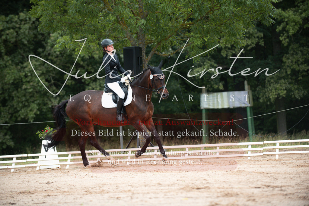 DSC_9592 | Pferde- und Turnierfotografie in Westsachsen. Pferdeportraits, Auftragszeichnungen und intuitive Kunst.