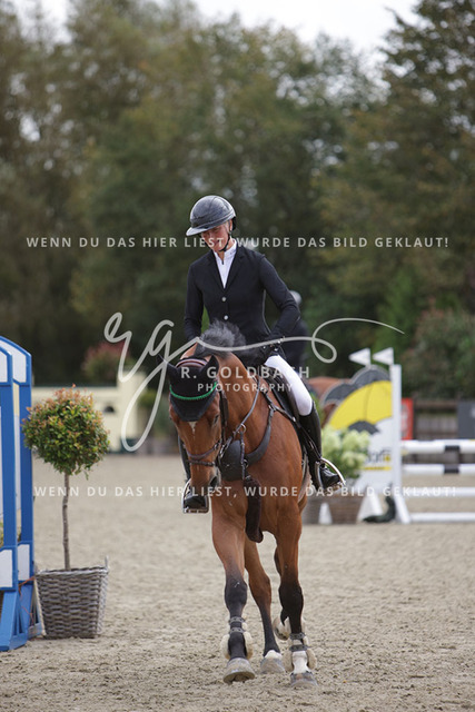 1J2A0926Meike Jalas_ Vollcool_ Kn991_ Havekost | Foto- und Videografie für alles rund ums Pferd. Hochwertige Bilder und Videos vom Spring- und Dressurreiten, Voltigieren & mehr. Jetzt aktuelle Veranstaltungen und Preise im Shop ansehen. - Realisiert mit Pictrs.com