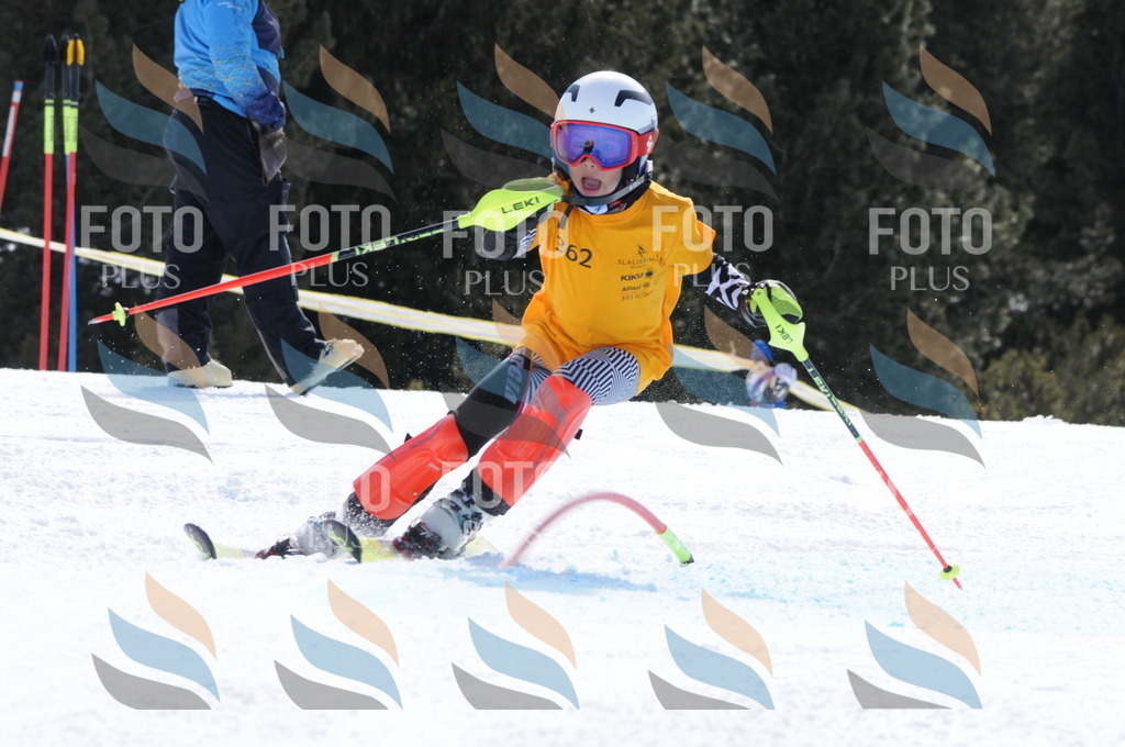 C9423 | holidayphoto