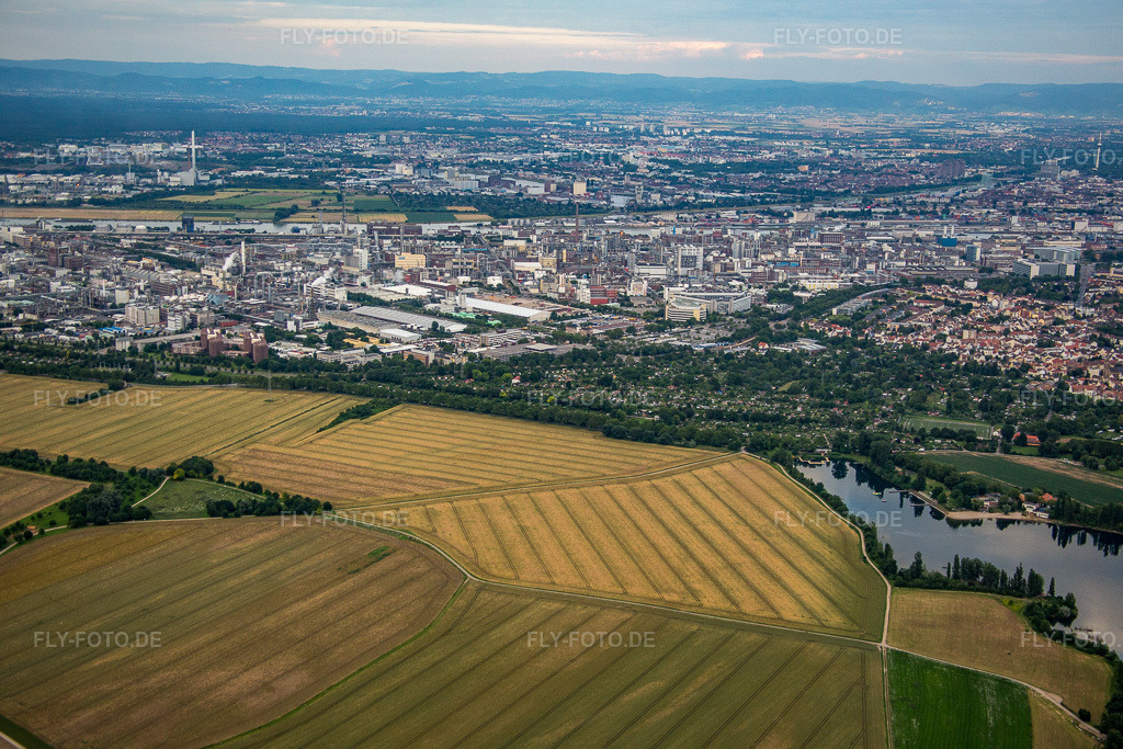Luftbild: BASF von Westen im Ortsteil Friesenheim in Ludwigshafen im Bundesland Rheinland-Pfalz in Deutschland. Foto: IMG_091043.jpg vom 04.07.2016 durch Werner Riehm/FLY-FOTO.de