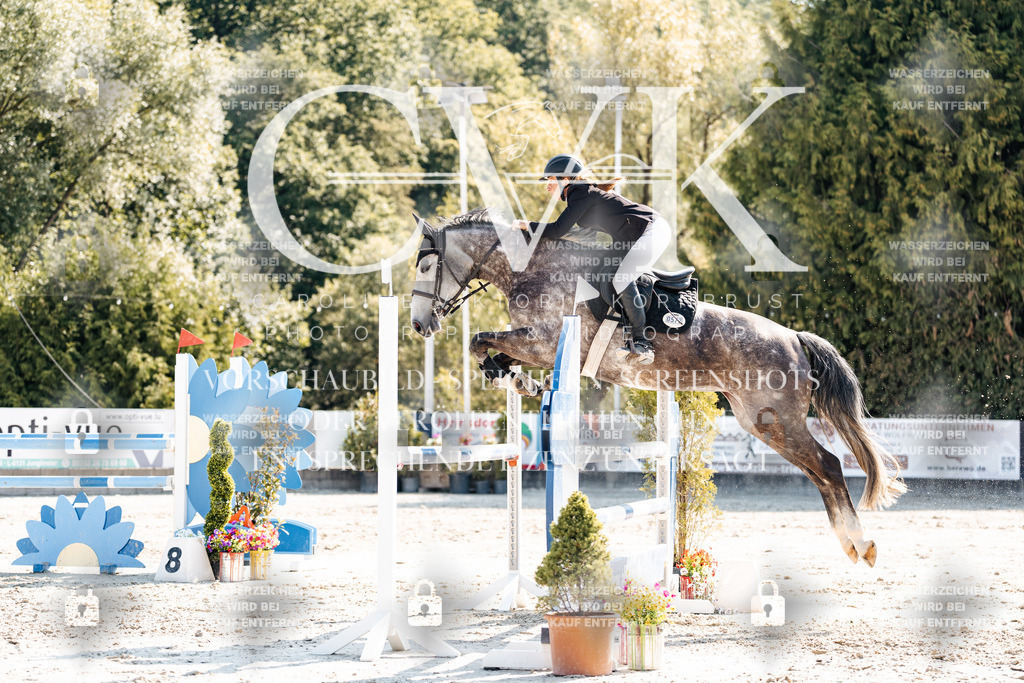 CK902604 | Turnierfotografie Pferdefotografie Trier Rheinland-Pfalz Pferdesport Reitsport Tierfotografie Sportfotografie Pferdevideo Pferdevideografie Equestrianvideography equestrianphotography  - Realisiert mit Pictrs.com